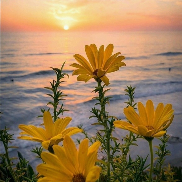 Meet your Posher, Dee - Picture 3 of 7